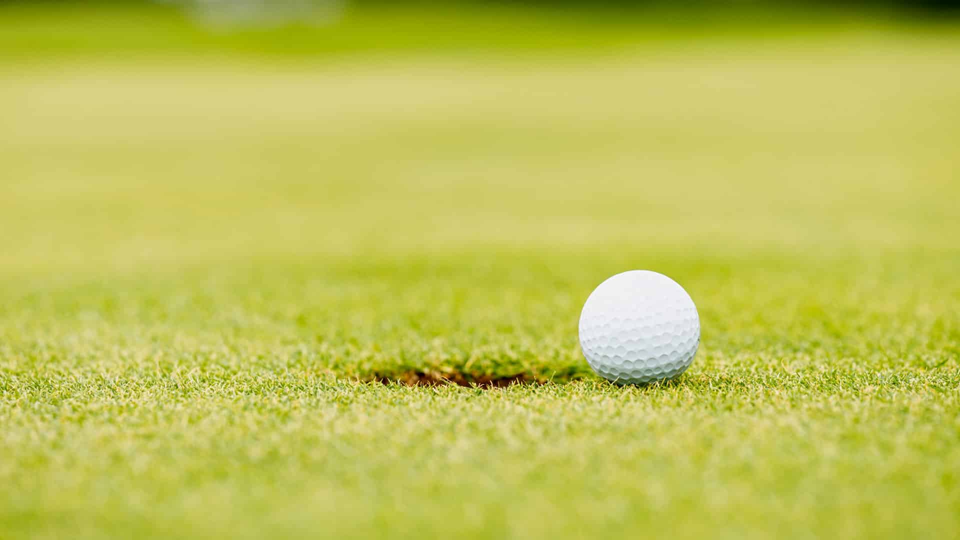 Golf Academy Links
